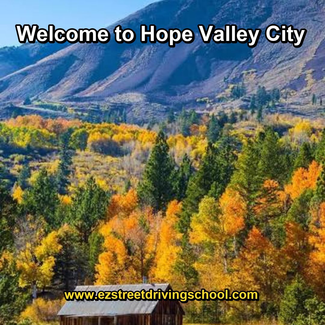 Driving Lessons in Hope Valley